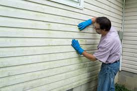 Affordable Siding Repair and Maintenance Services in Newark, IL